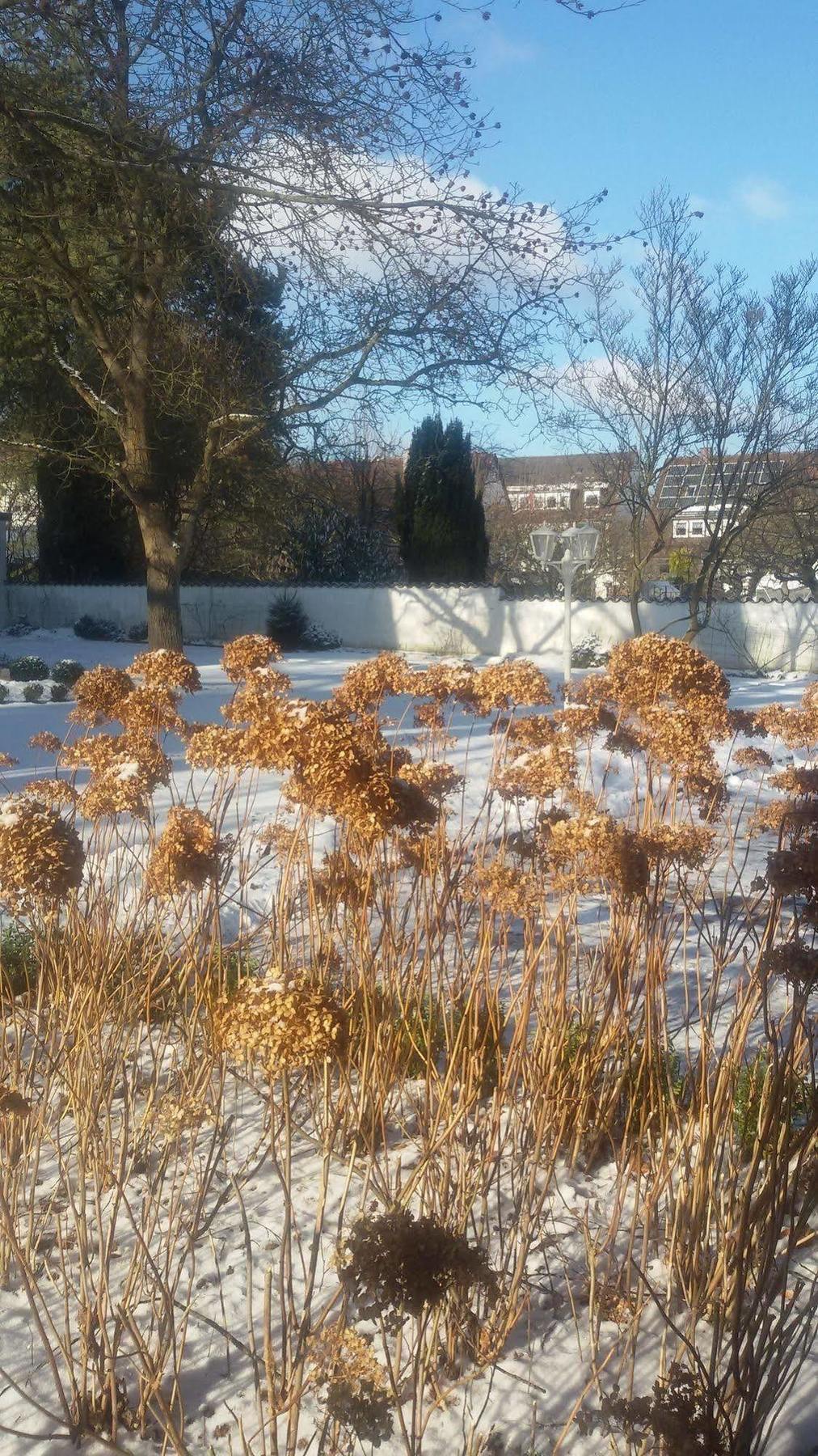 Park Hotel Nürnberg Eksteriør bilde